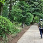 練馬区の憩いの空間“石神井公園駅”｜武蔵野の豊かな自然をおさんぽ